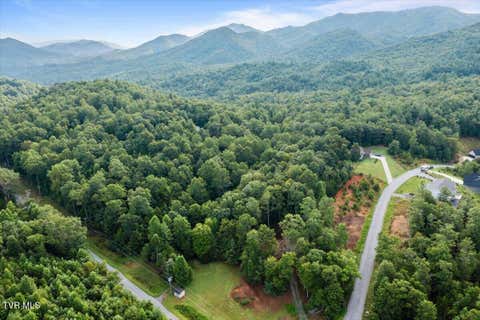 Vacant Land For Sale - TBD Sciota Road<br/> Unicoi, TN 37692