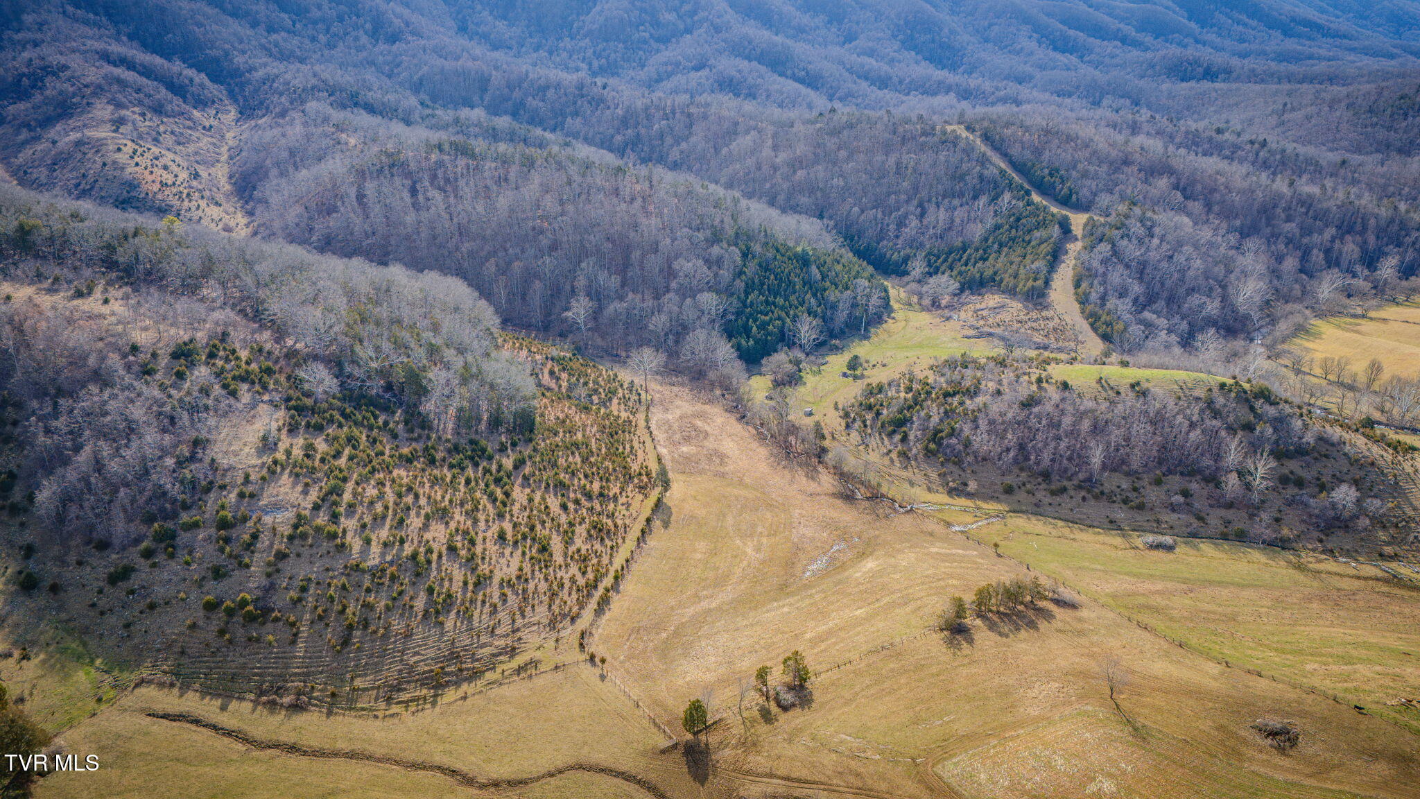 Tbd Clinch Mountain Road