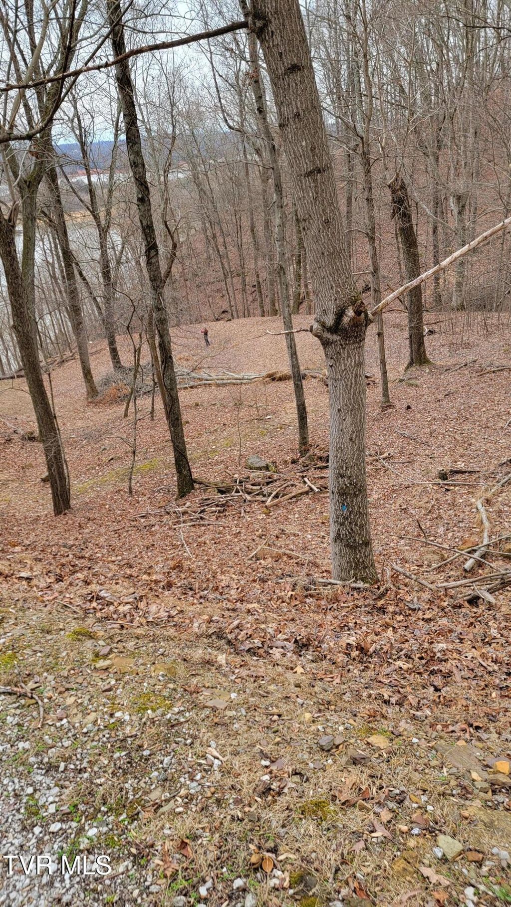 Photo of 1218 Keetoowah Drive, Mooresburg, TN 37811 (MLS # 9987437)