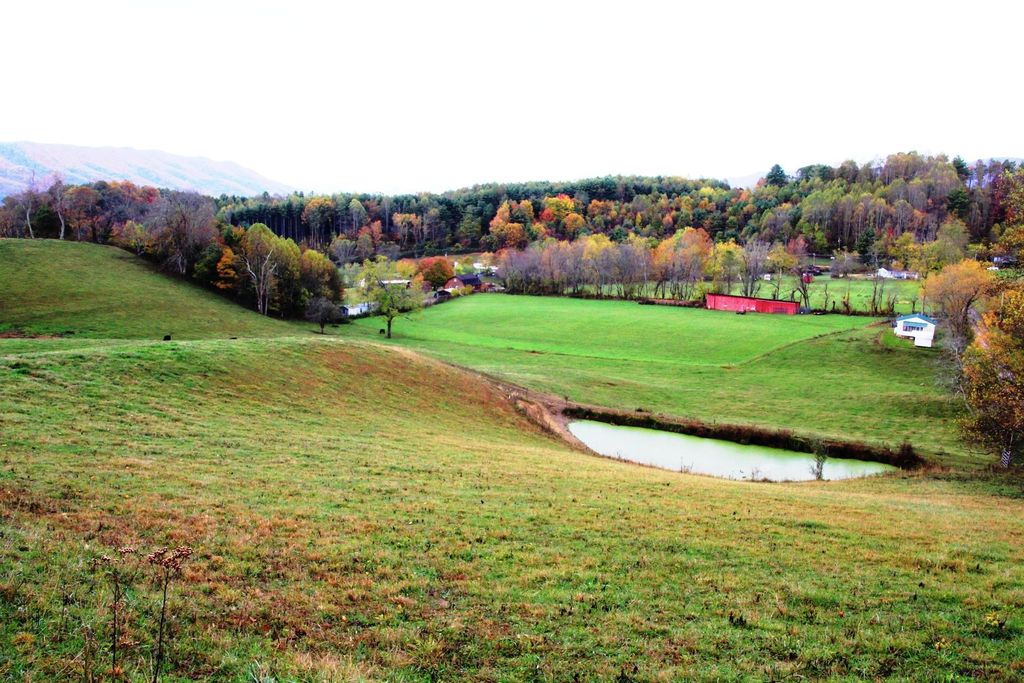 Photo of 256 Morley Road, Mountain City, TN 37683 (MLS # 9994571)