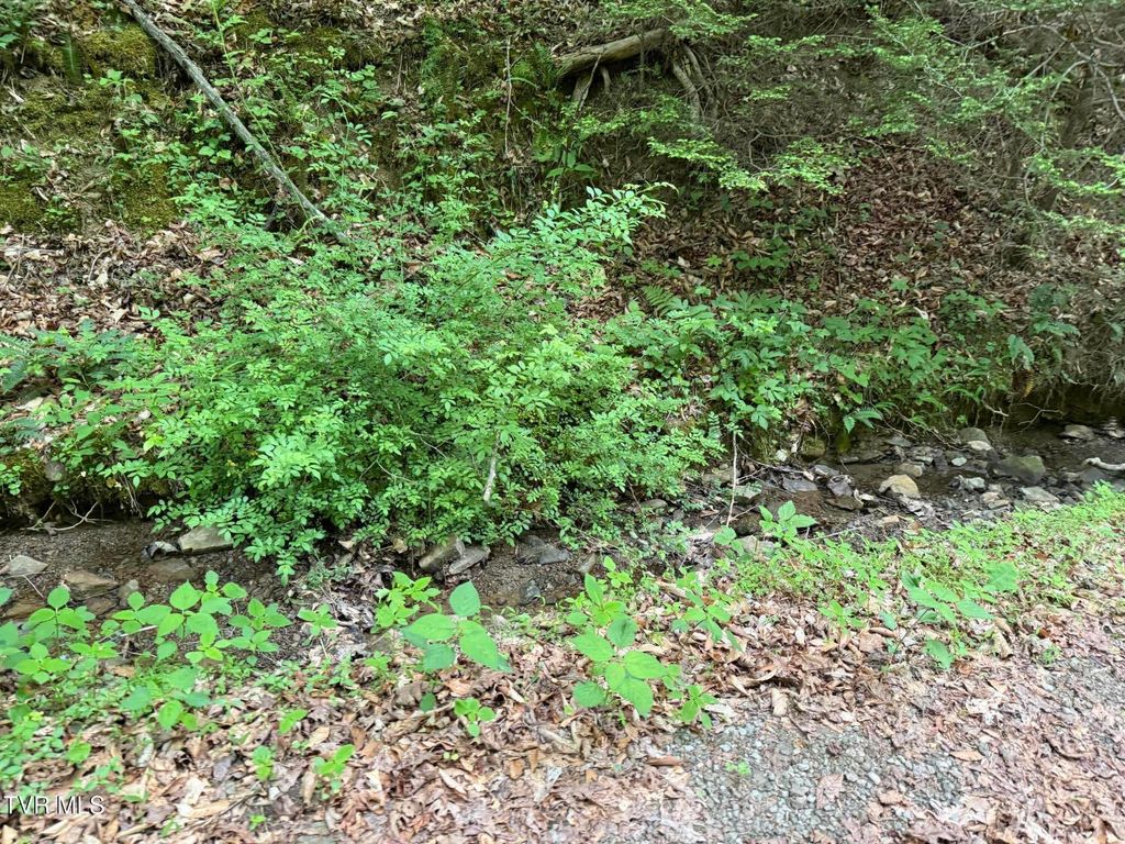 Photo of Tbd Highway 66, Rogersville, TN 37857 (MLS # 9995142)