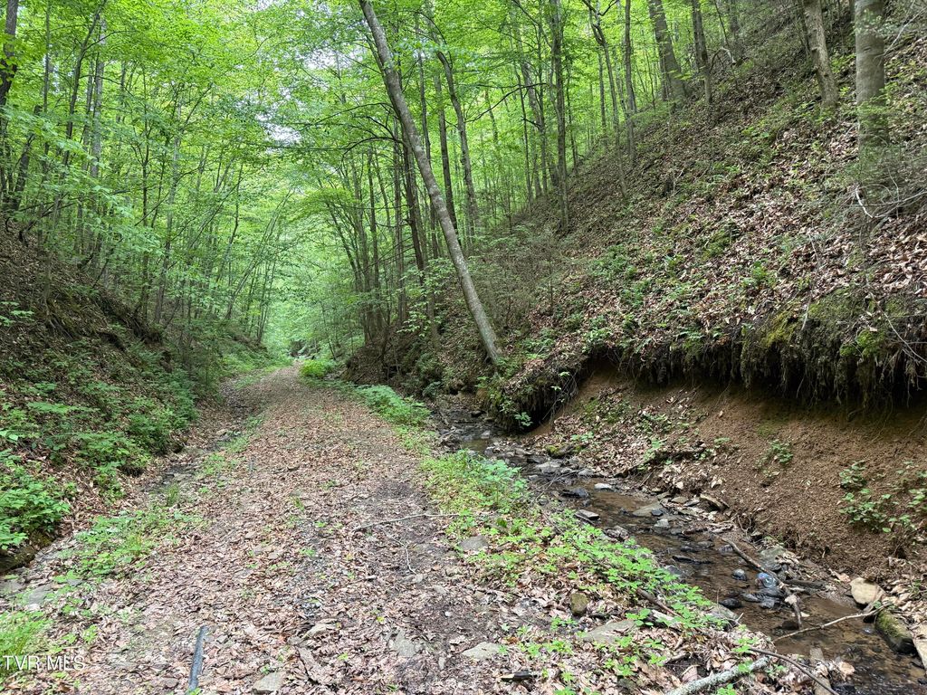 Photo of Tbd Highway 66, Rogersville, TN 37857 (MLS # 9995142)