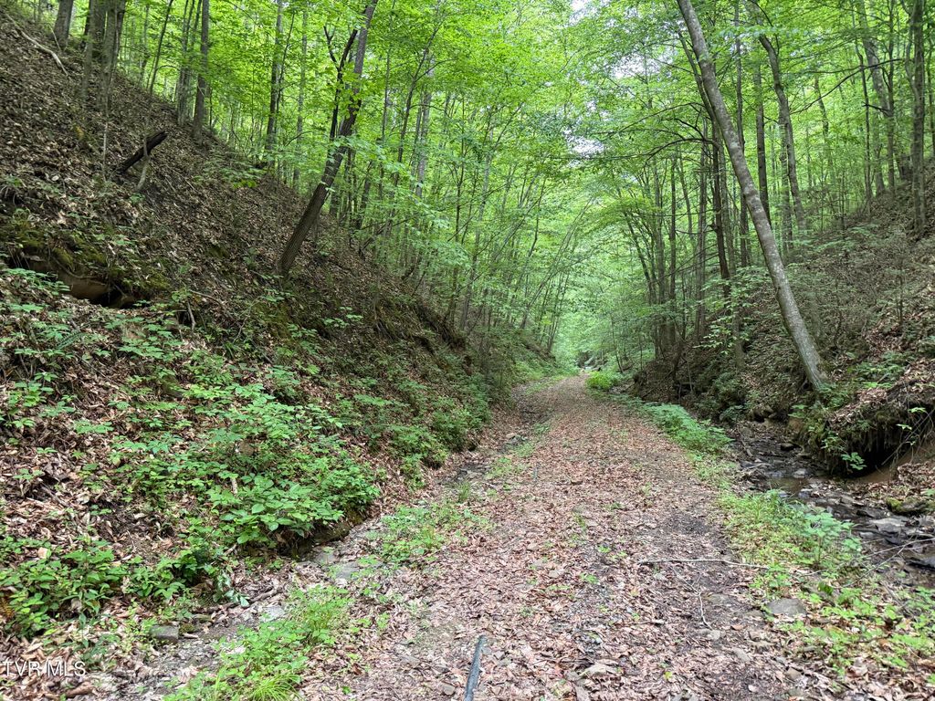 Photo of Tbd Highway 66, Rogersville, TN 37857 (MLS # 9995142)