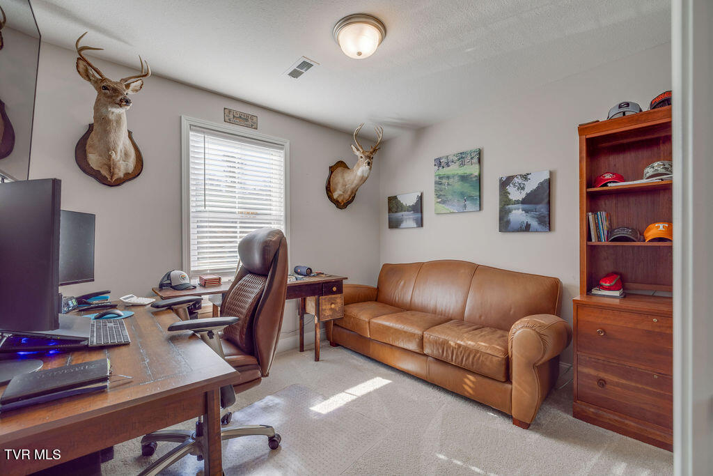 109 Ervin Loop, Erwin, Tennessee image 31