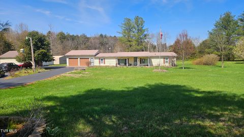 Photo of 381 Newt Good Road, Limestone, TN 37681 (MLS # 9992895)