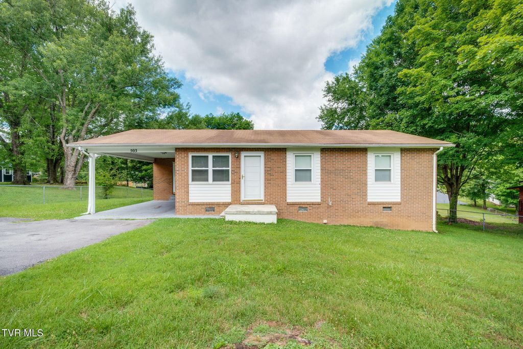 Photo of 503 Sunnyvale Drive, Johnson City, TN 37601 (MLS # 9996806)
