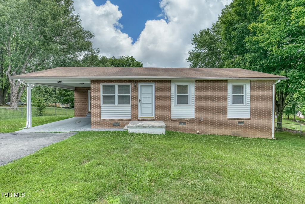 Photo of 503 Sunnyvale Drive, Johnson City, TN 37601 (MLS # 9996806)