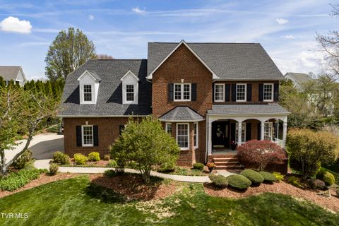 Photo of 131 Olde Towne Drive, Jonesborough, TN 37659 (MLS # 9993309)