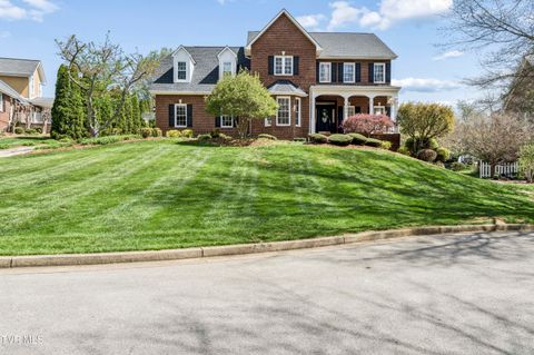 131 Olde Towne Drive Jonesborough TN 37659