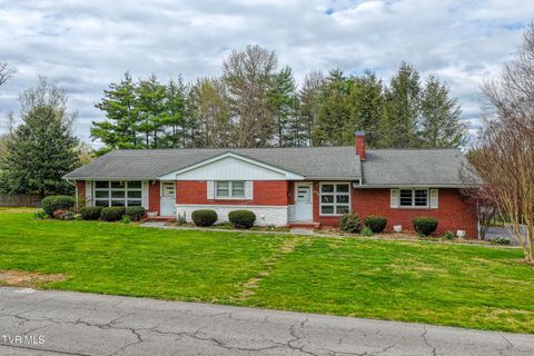 Photo of 1503 Lakeview Drive, Johnson City, TN 37601 (MLS # 9993396)