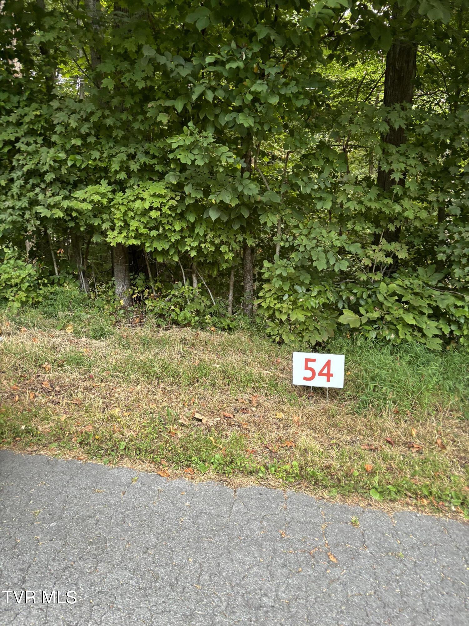 54 Golf Course Rd, Unicoi, Tennessee image 1