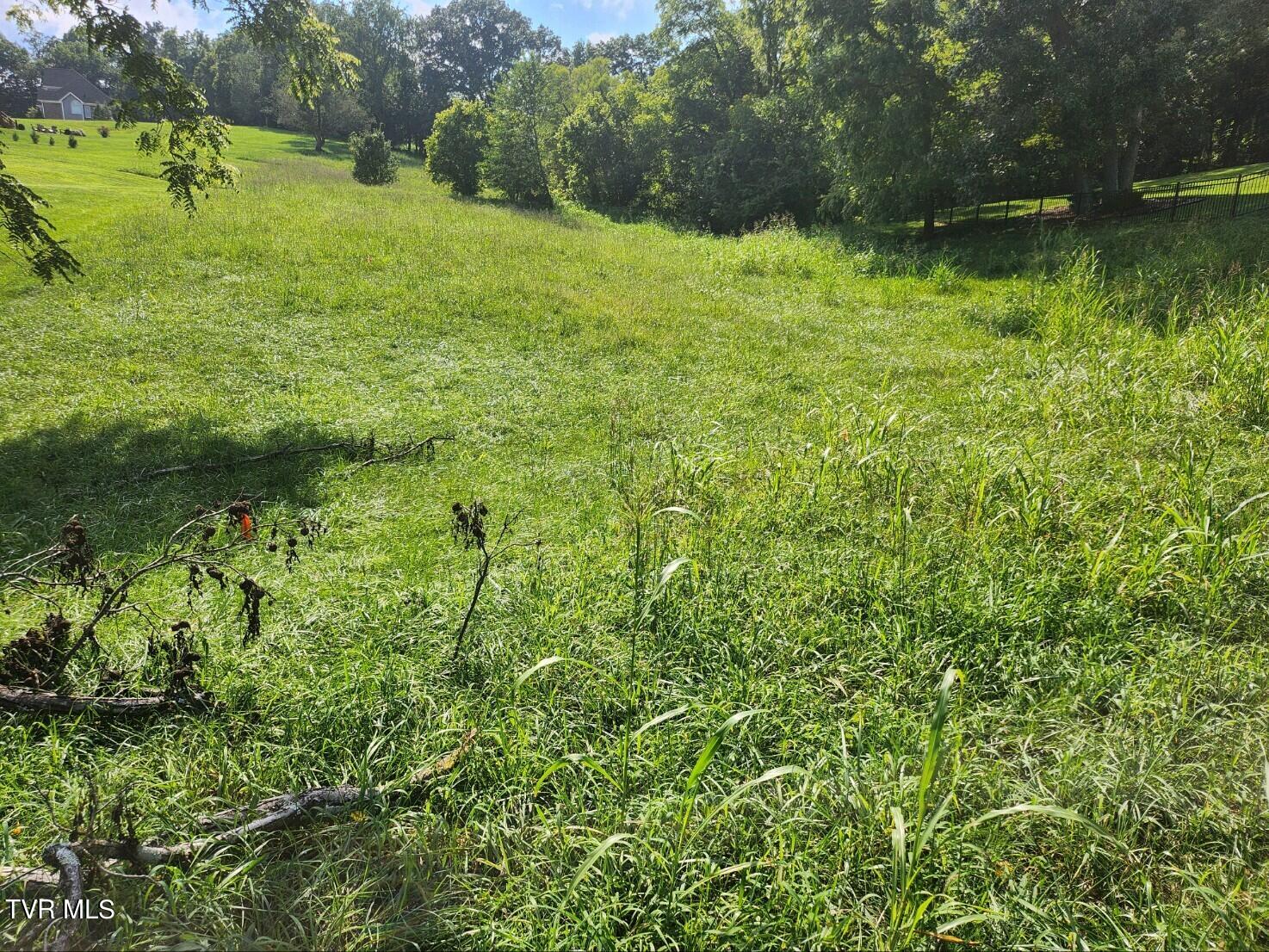 54 Golf Course Rd, Unicoi, Tennessee image 2