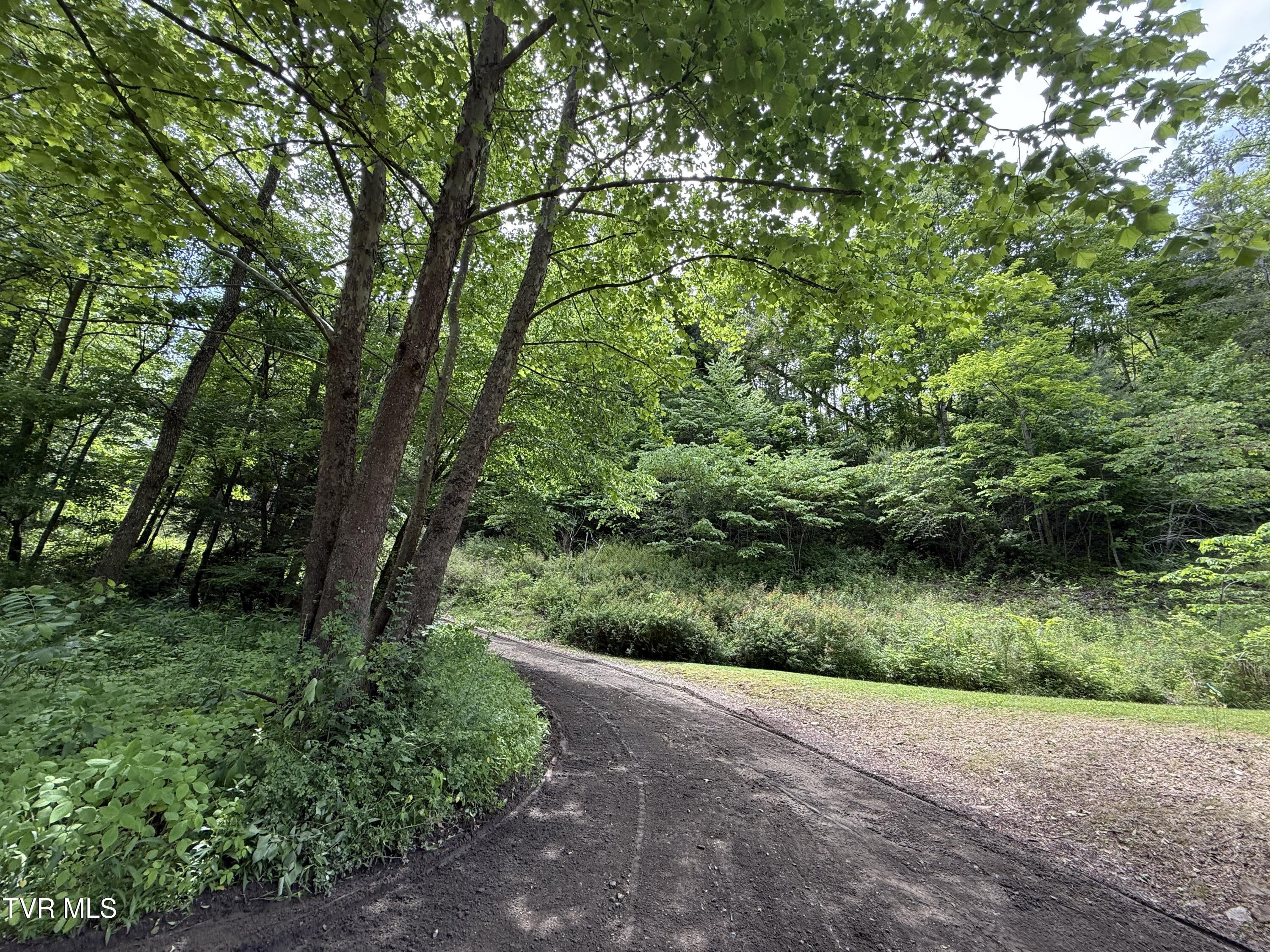 Tbd Rattlesnake Ridge Lot 19 & 31, Butler, Tennessee image 6