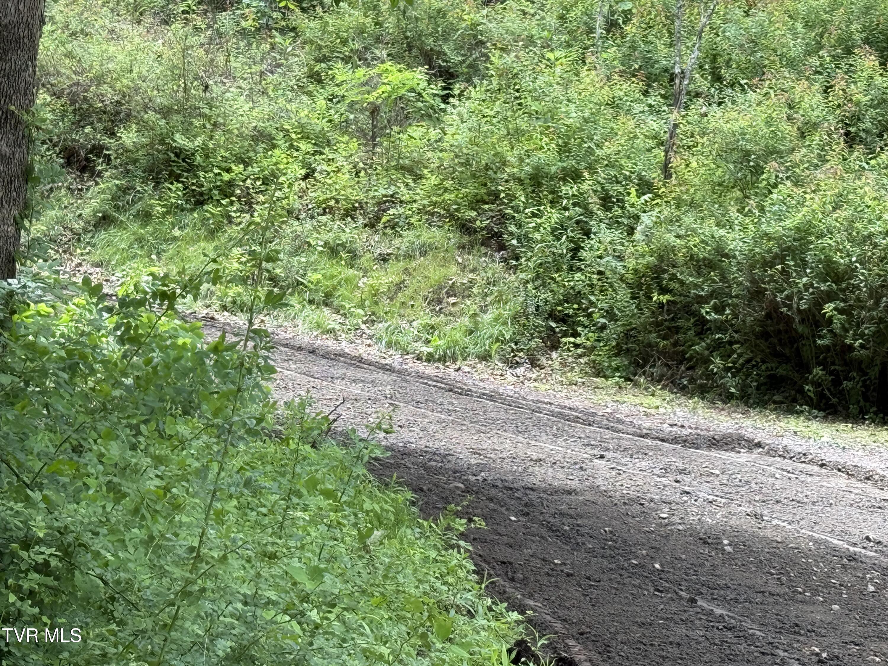 Tbd Rattlesnake Ridge Lot 19 & 31, Butler, Tennessee image 5