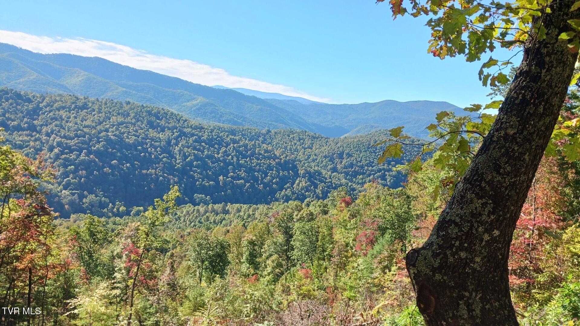Tbd Rattlesnake Ridge Lot 19 & 31, Butler, Tennessee image 2