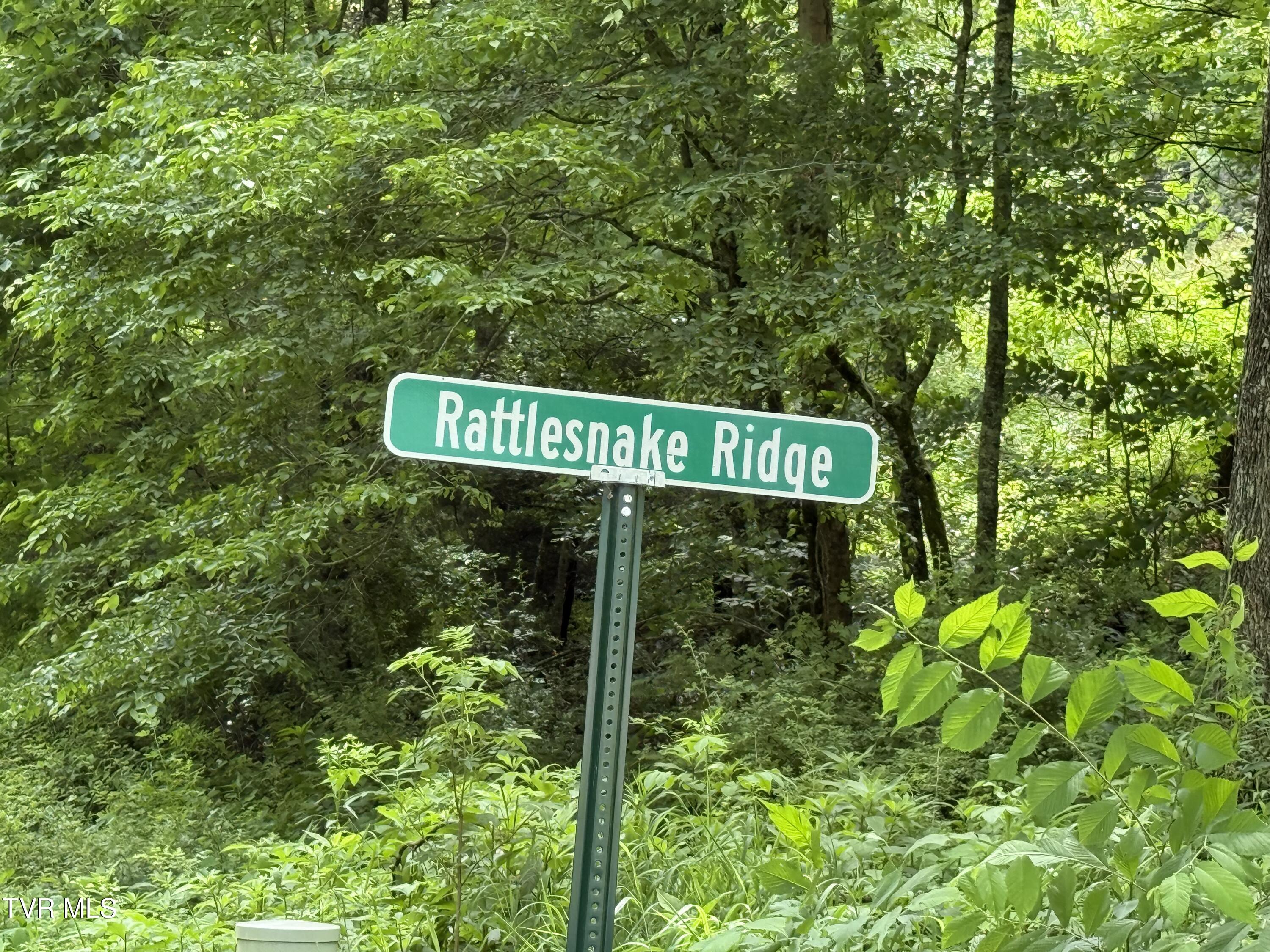 Tbd Rattlesnake Ridge Lot 19 & 31, Butler, Tennessee image 4