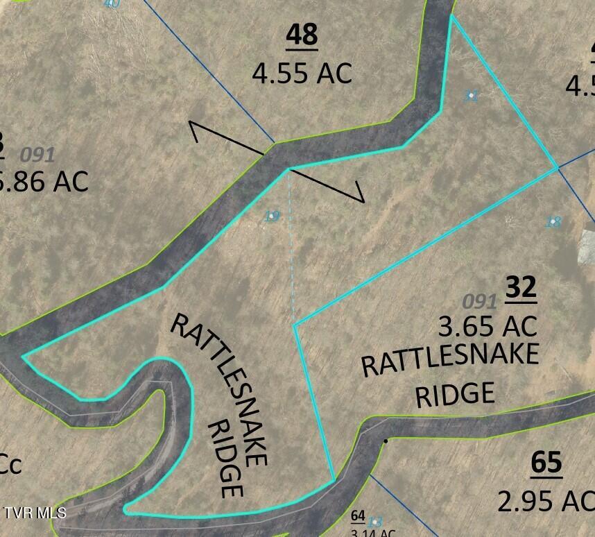 Tbd Rattlesnake Ridge Lot 19 & 31, Butler, Tennessee image 1