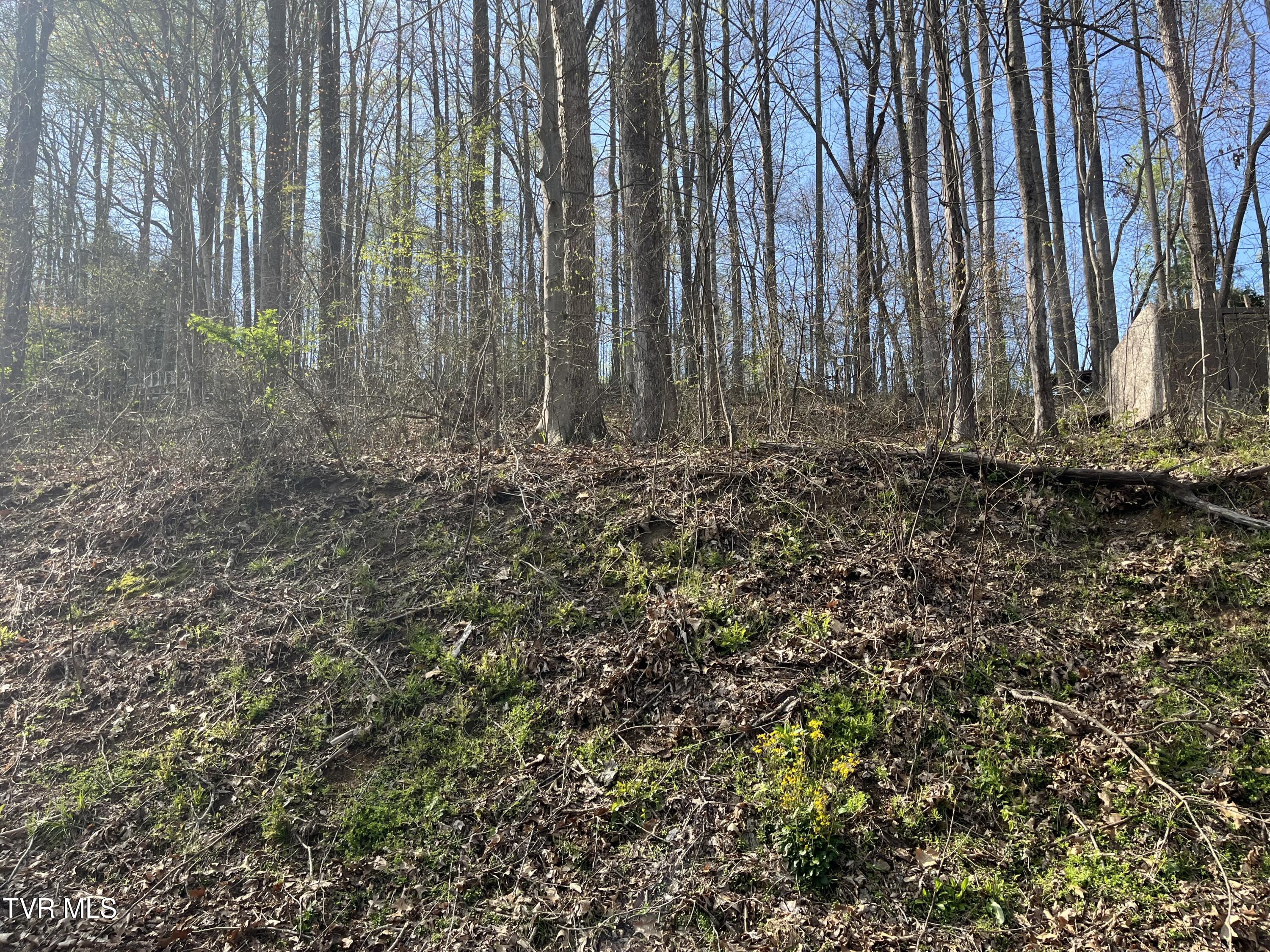 Tbd Wedgewood Road, Big Stone Gap, Virginia image 1