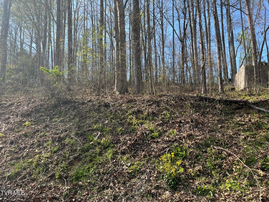 Photo of Tbd Wedgewood Road, Big Stone Gap, VA 24219 (MLS # 9978724)