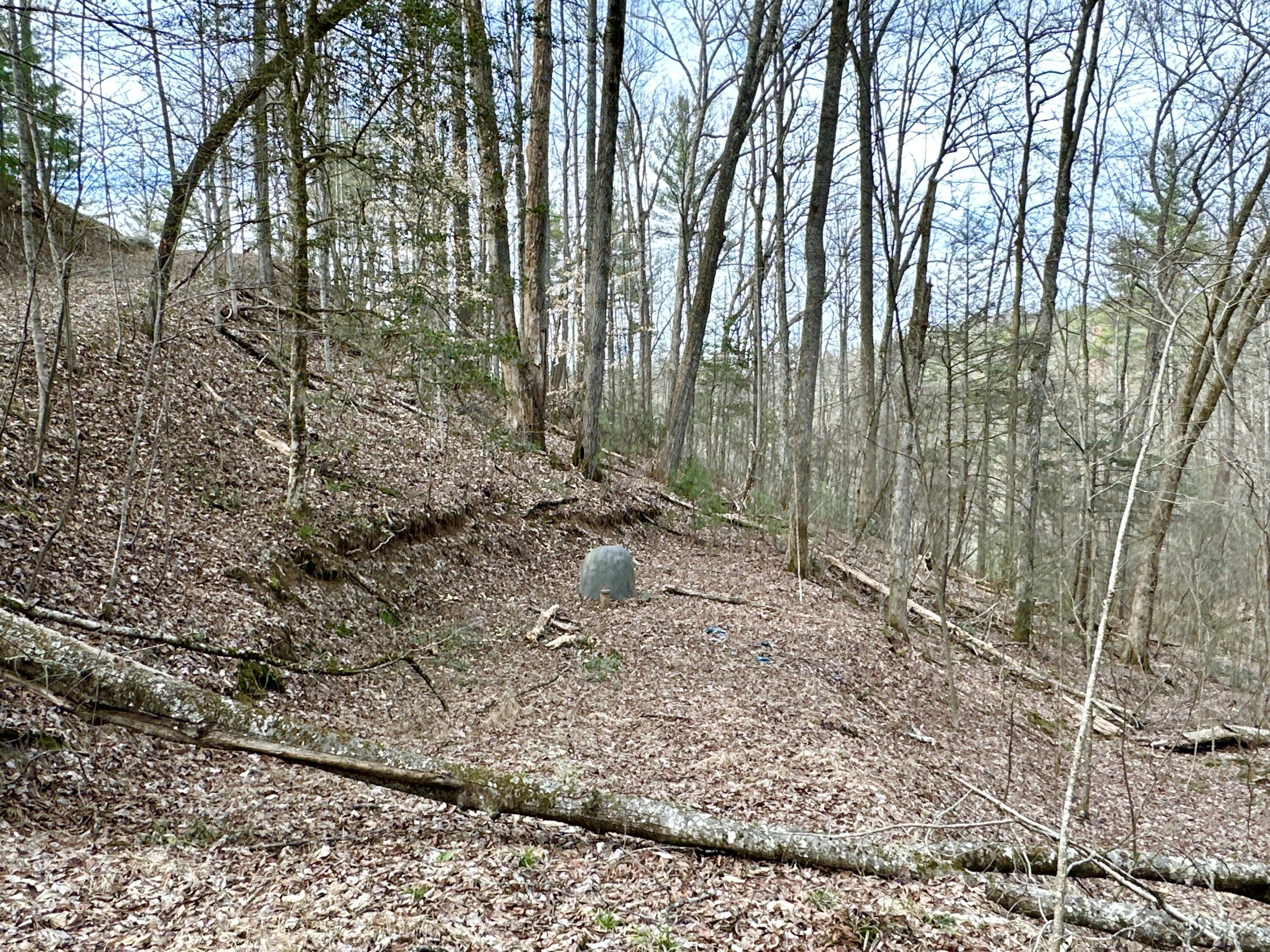 Lot 24 Horse Shoe Way, Del Rio, Tennessee image 1