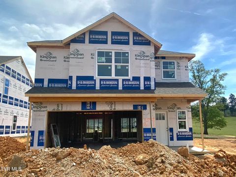 Homes For Sale - 167 Wisteria Drive Dr<br/> Bluff City, TN 37618