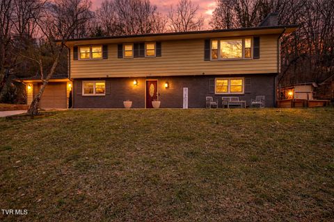 Homes For Sale - 155 Santa Monica Road<br/> Bristol, VA 24201