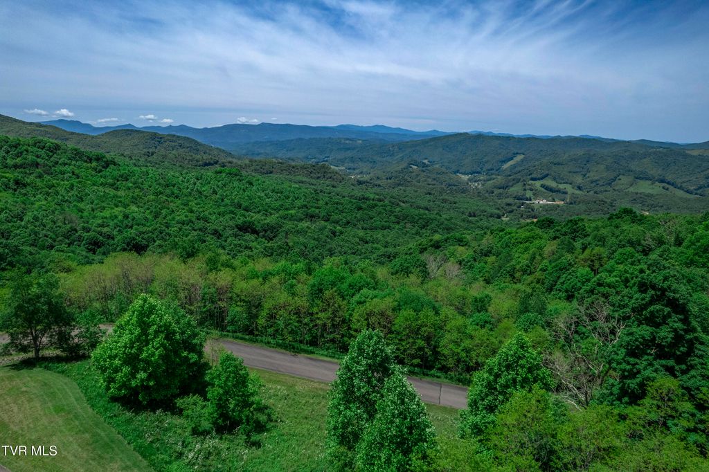 Photo of 614 Buffalo Nvno Road, Trade, TN 37691 (MLS # 9992434)