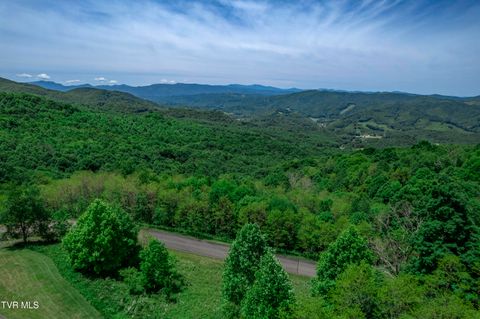 Vacant Land For Sale - C614 Buffalo Nvno Road<br/> Johnson County, Trade, TN 37691