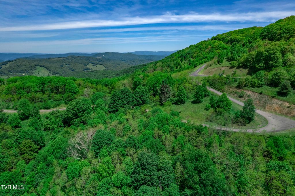 Photo of 614 Buffalo Nvno Road, Trade, TN 37691 (MLS # 9992434)