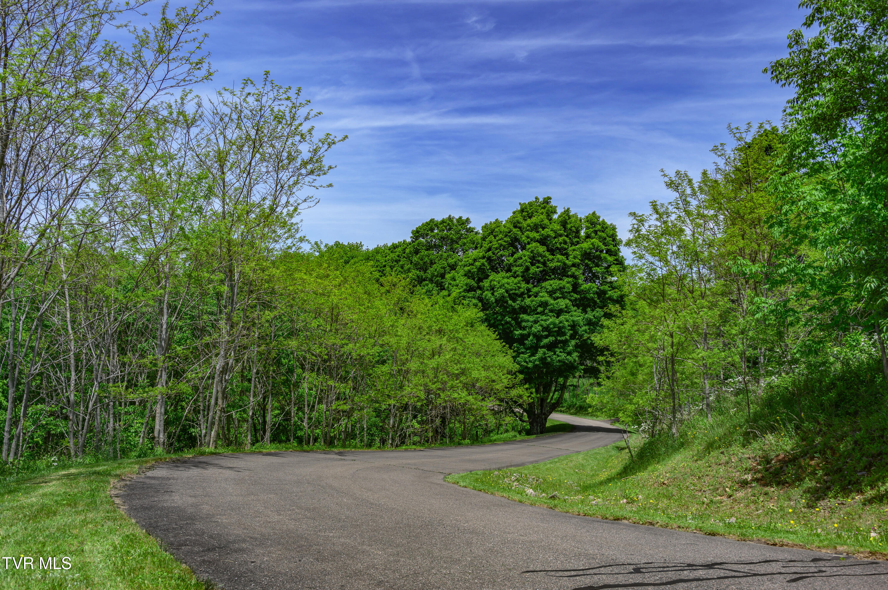 C614 Buffalo Nvno Road