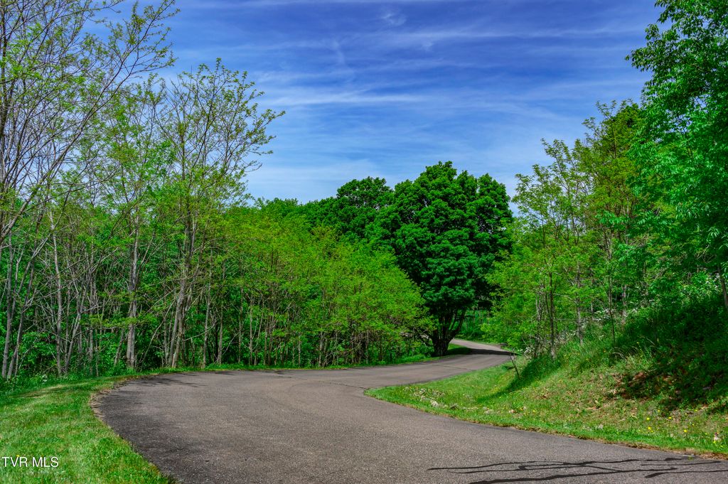 Photo of 614 Buffalo Nvno Road, Trade, TN 37691 (MLS # 9992434)