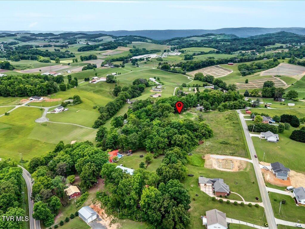 Ostrich Lane, Rutledge, Tennessee image 21