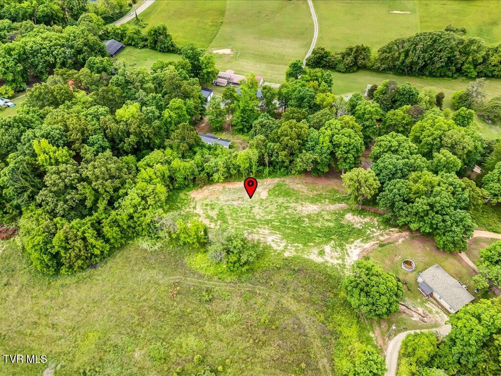 Ostrich Lane, Rutledge, Tennessee image 8