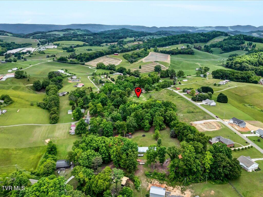 Ostrich Lane, Rutledge, Tennessee image 20
