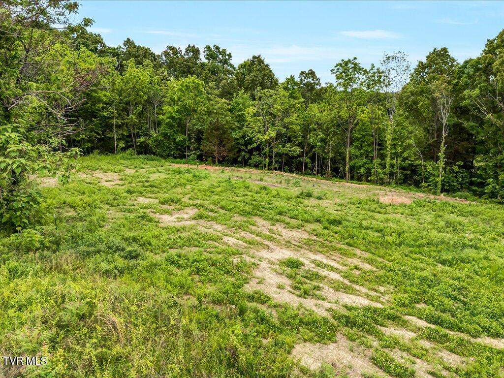Ostrich Lane, Rutledge, Tennessee image 1
