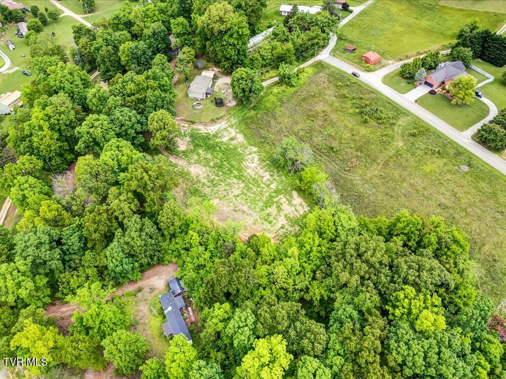 Ostrich Lane, Rutledge, Tennessee image 12