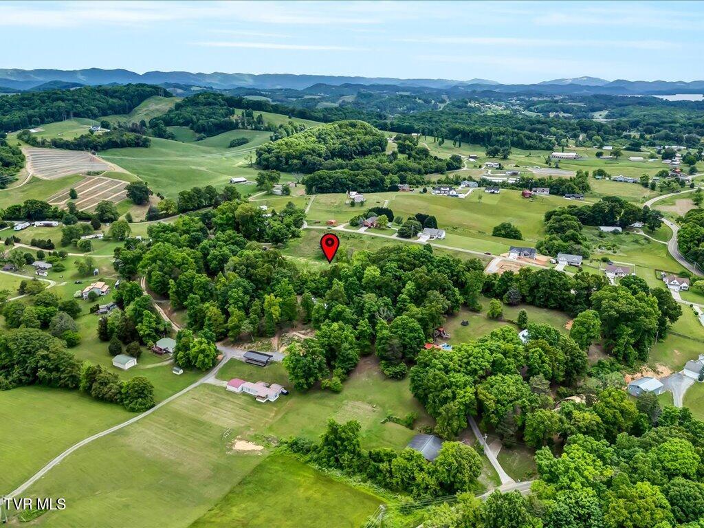 Ostrich Lane, Rutledge, Tennessee image 7