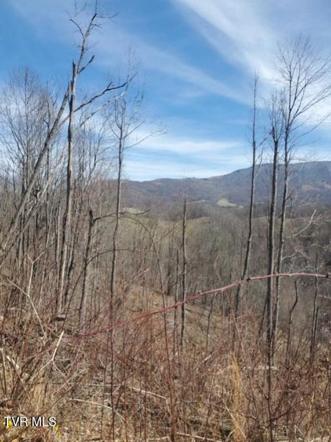 Vacant Land For Sale - TBD Miller Road<br/> Johnson County, Trade, TN 37691