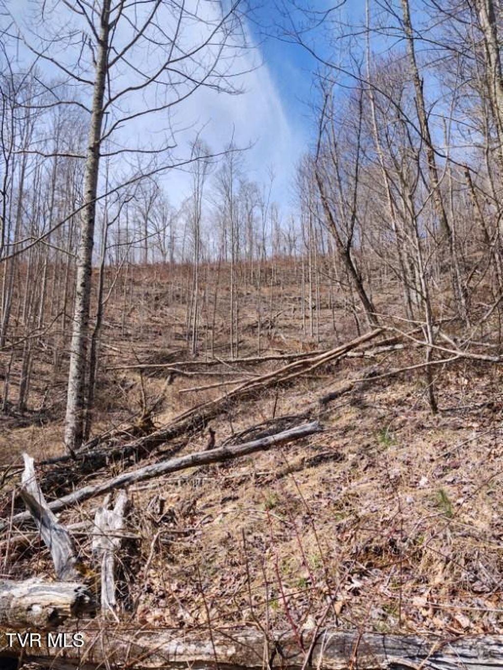 Photo of Tbd Miller Road, Trade, TN 37691 (MLS # 9984079)