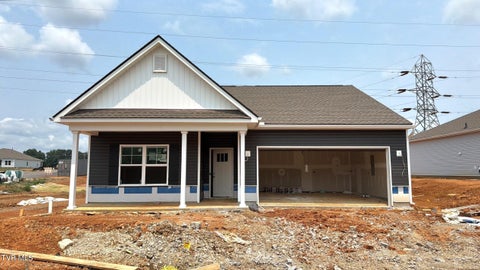 Homes For Sale - 300 Chimney View Loop Loop<br/> Sullivan County County, Blountville, TN 37617
