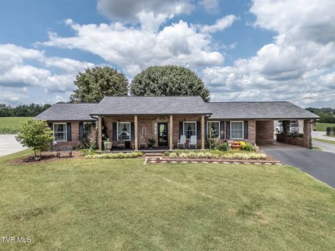 Photo of 97 Sunrise Avenue, Greeneville, TN 37745 (MLS # 9997773)