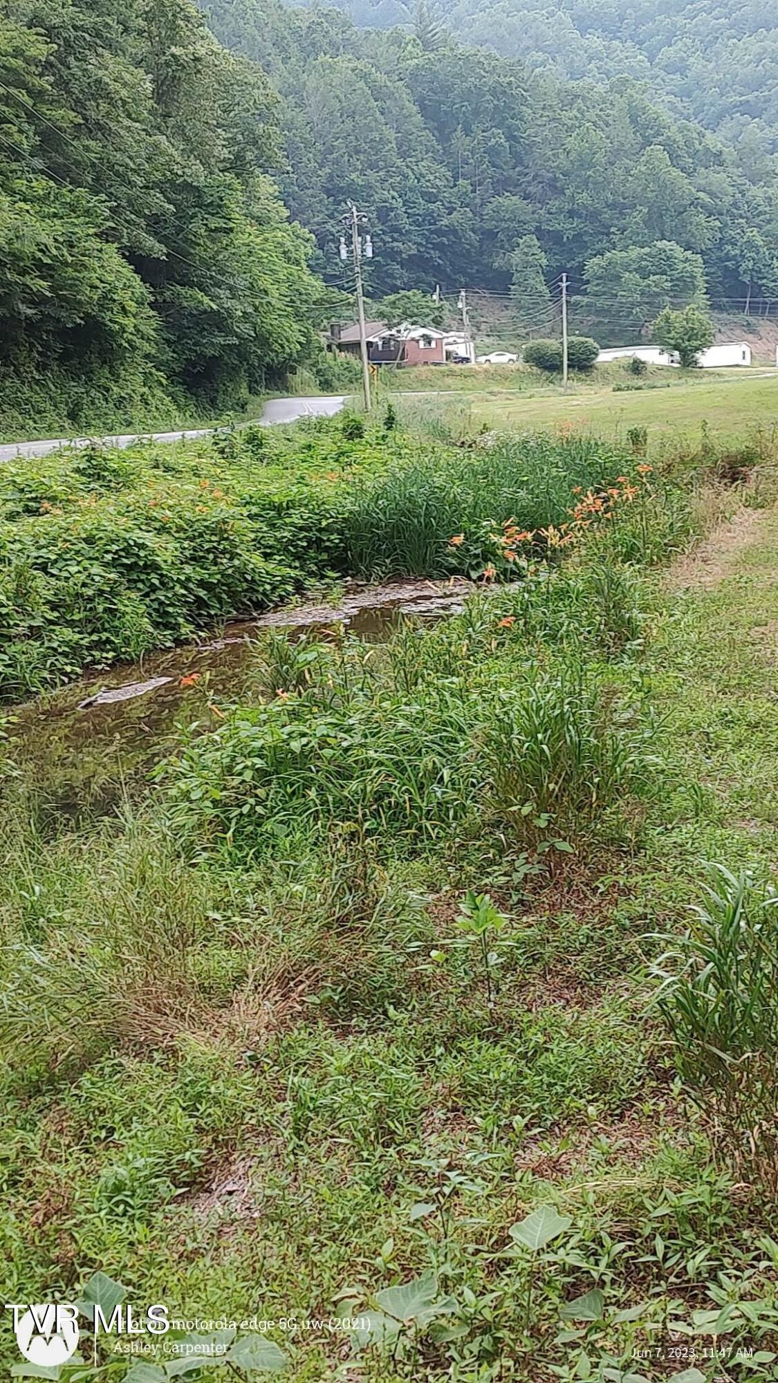 - Big Creek Rd, Hartford, Tennessee image 2