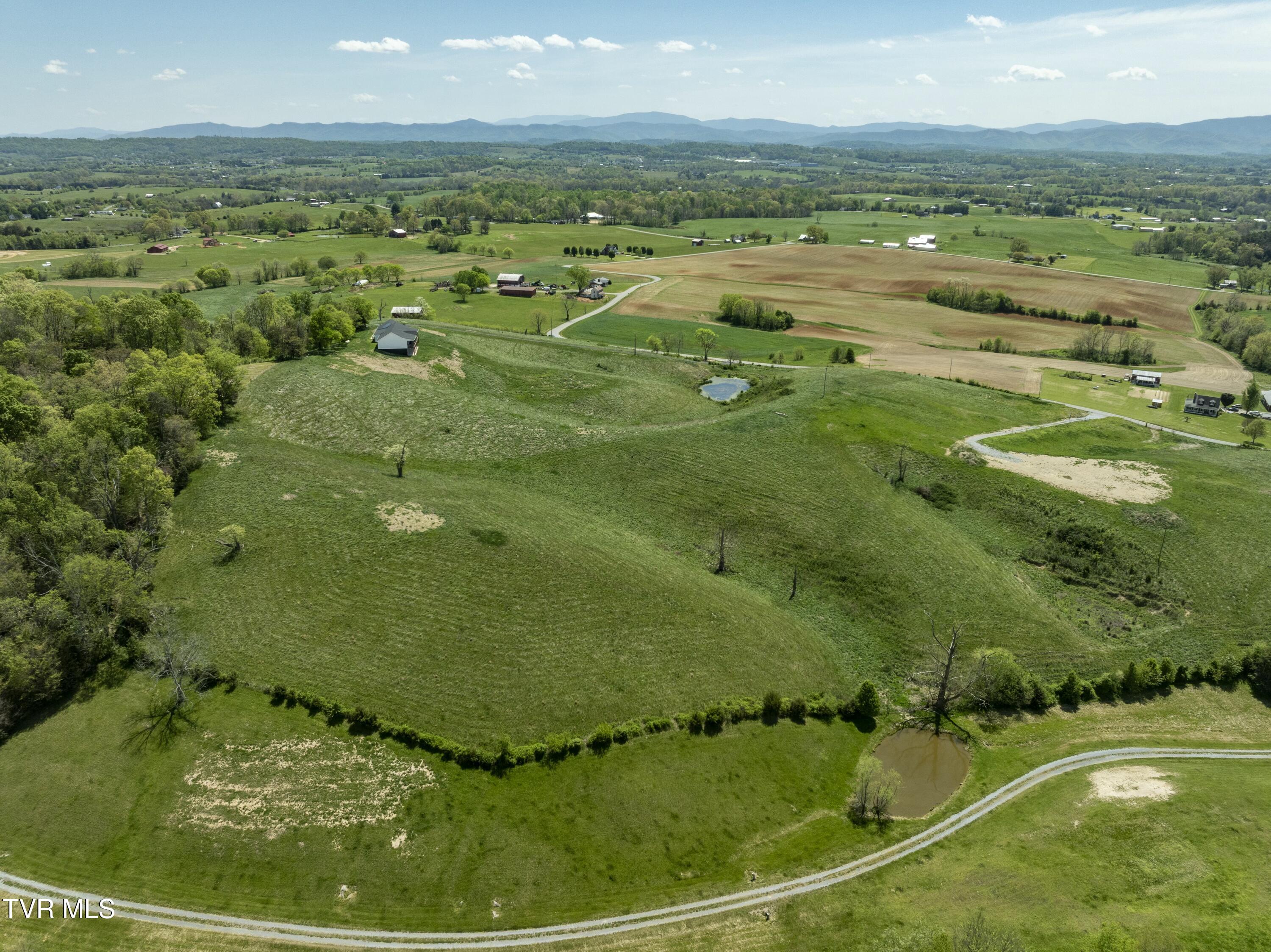 663 Saylor Hill Road, Limestone, Tennessee image 9