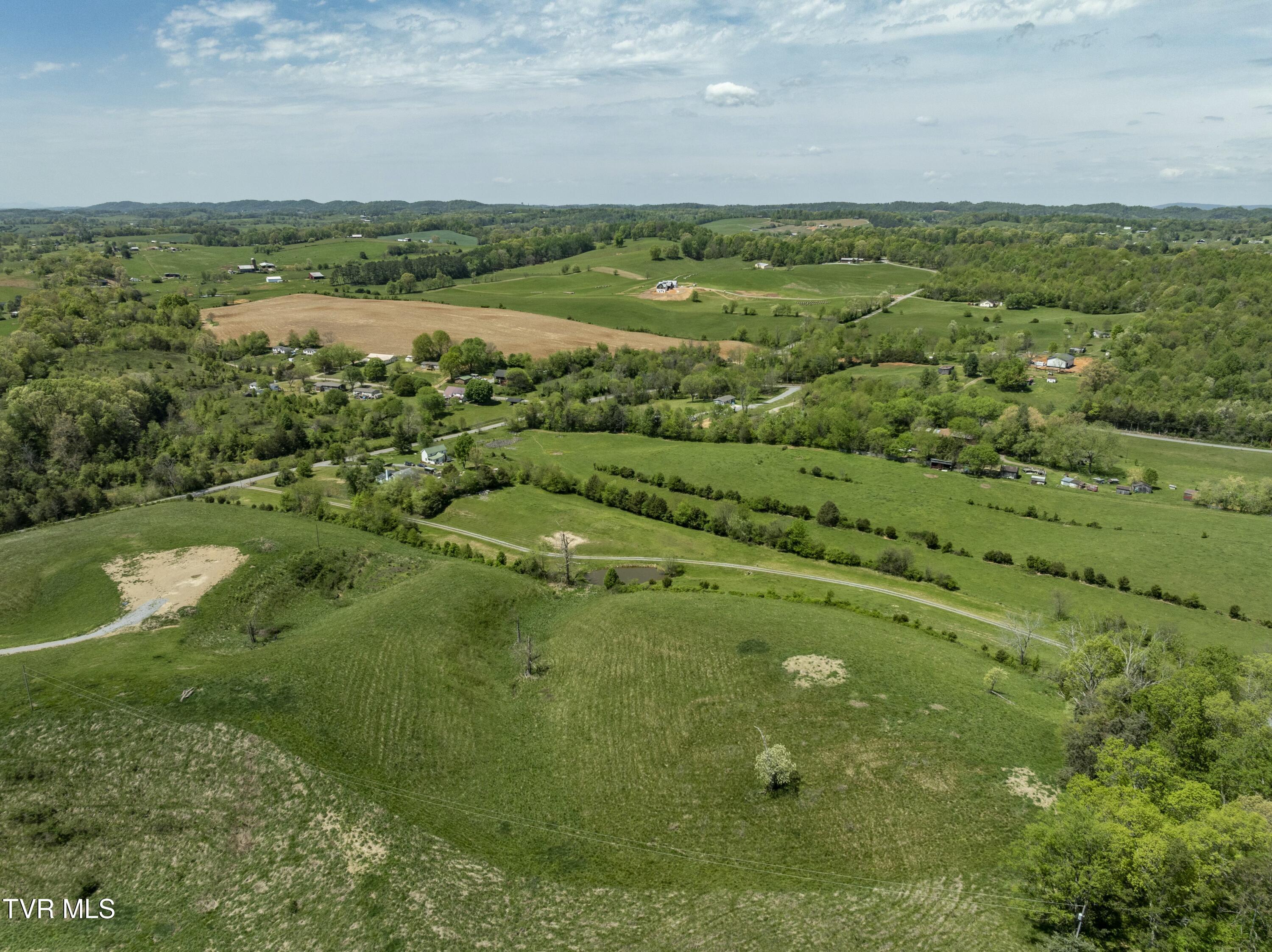 663 Saylor Hill Road, Limestone, Tennessee image 10