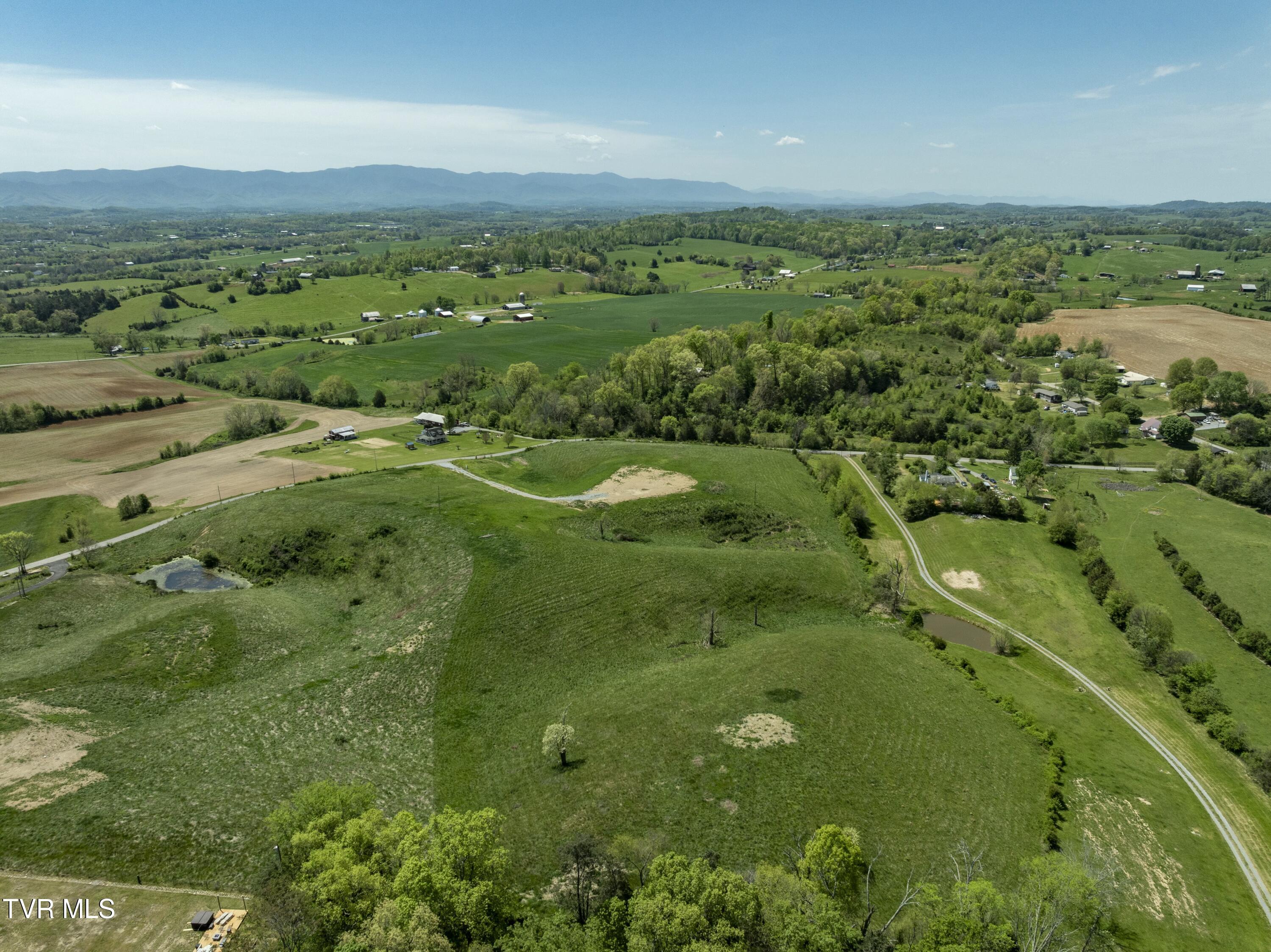 663 Saylor Hill Road, Limestone, Tennessee image 4