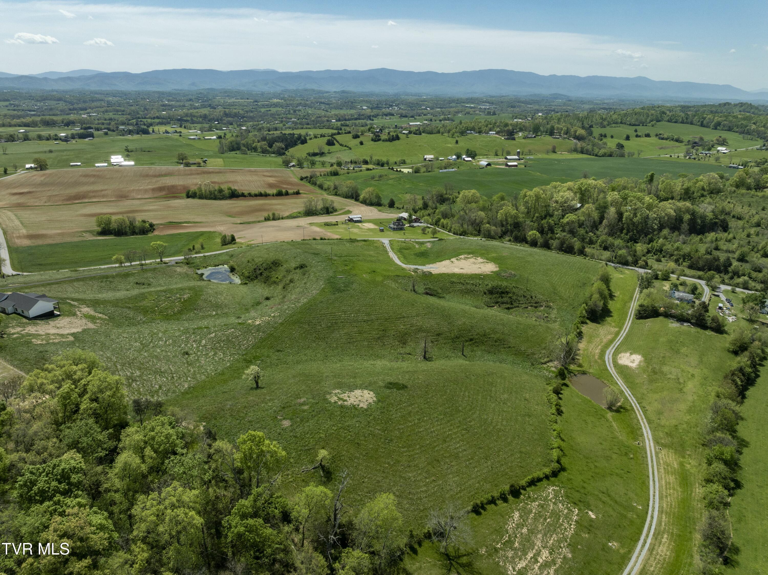 663 Saylor Hill Road, Limestone, Tennessee image 3