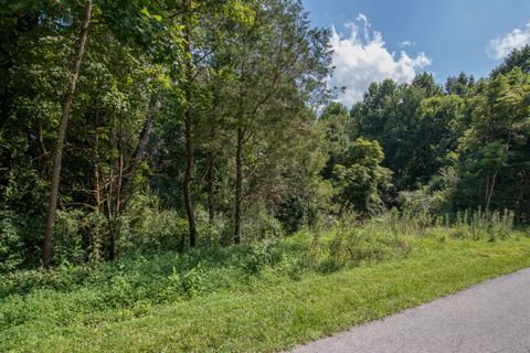 Vacant Land For Sale - LOT 46 Tbd Preston Place Drive<br/> Abingdon, VA 24211