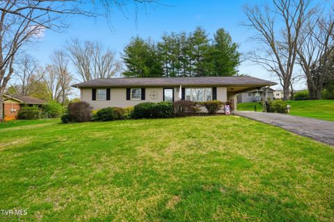 Photo of 1211 Oakdell Court, Johnson City, TN 37604 (MLS # 9992970)