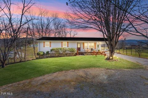 Photo of 367 Toll Branch Road, Johnson City, TN 37601 (MLS # 9988687)