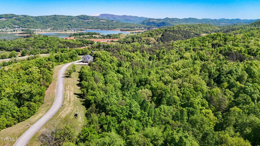 Photo of 2004 Turners Landing Road, Russellville, TN 37860 (MLS # 9998587)
